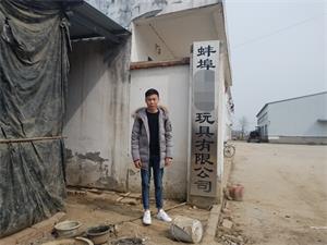 蚌埠XXX玩具公司顺利通过SEDEX验厂咨询