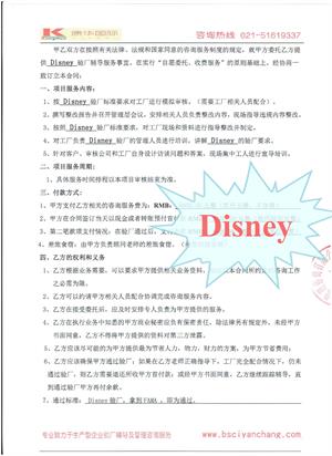 浙江乐中XX玩具生产有限公司合作Disney验厂咨询