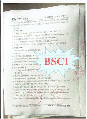 金华市xx包装有限公司合作BSCI验厂咨询