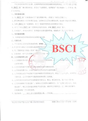 金华xx五金制品有限公司合作BSCI验厂咨询