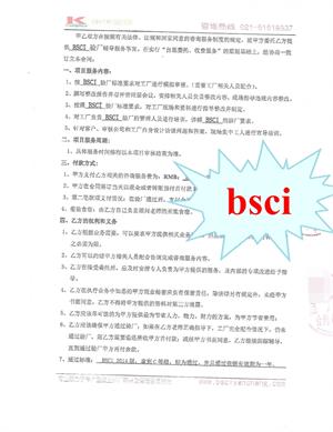 浙江XX工贸有限公司合作BSCI验厂咨询