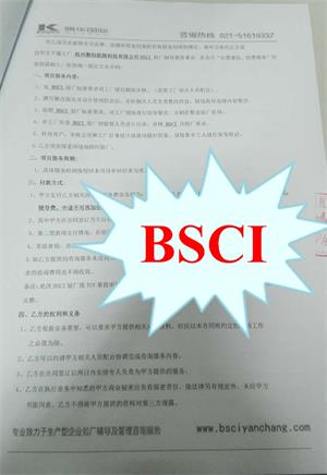XX科技(杭州)有限公司合作bsci验厂咨询