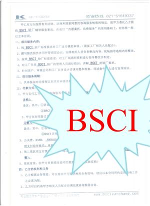 杭州XX车业有限公司合作BSCI验厂咨询