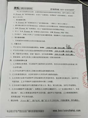嵊州市XX娱乐用品有限公司合作Disney验厂咨询