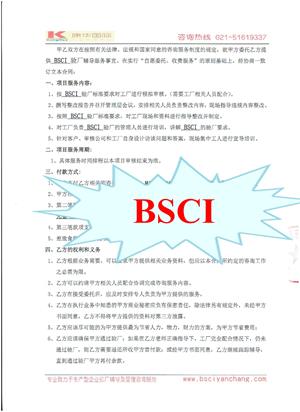 镇江xx医疗器械有限公司合作BSCI验厂咨询