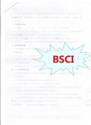 金华XX服饰有限公司与康华合作BSCI验厂咨询