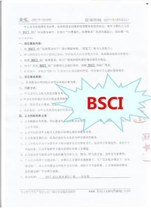 江苏XX胶业有限公司与康华合作BSCI验厂咨询