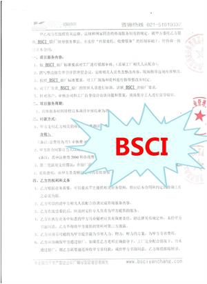 高邮市XX皮件体育用品有限公司与康华合作BSCI验厂咨询