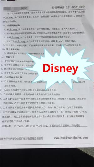 浙江XX针织有限公司与康华合作Disney验厂咨询
