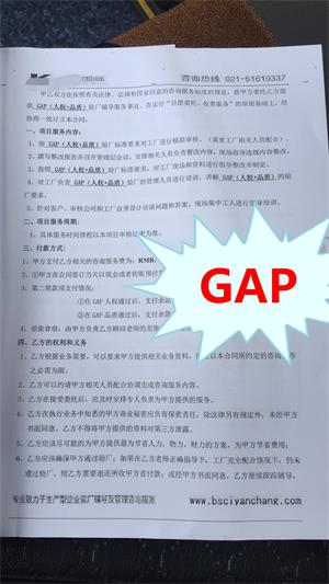 绍兴XX制衣有限公司与康华合作GAP验厂咨询