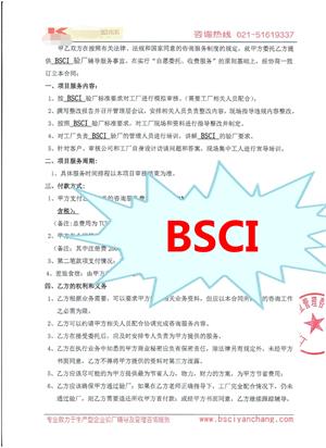 浙江XX新材料有限公司与康华合作BSCI验厂咨询