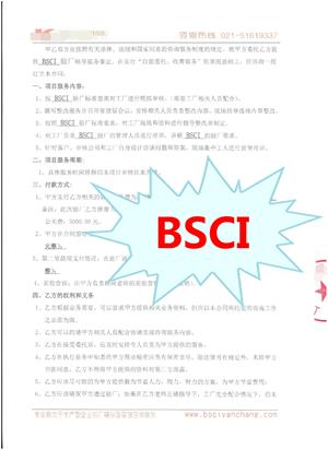 嘉善XX旅游用品有限公司与康华合作BSCI验厂咨询