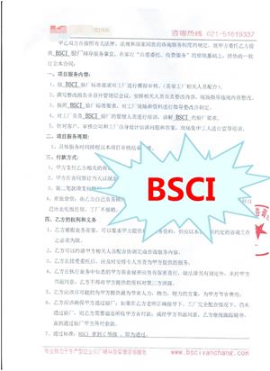 浙江XX日用品有限公司与康华合作BSCI验厂咨询