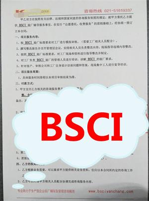 东阳市XX纸品有限公司与康华合作BSCI验厂咨询