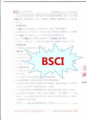 常州市XX彩印包装有限公司与康华合作BSCI验厂咨询