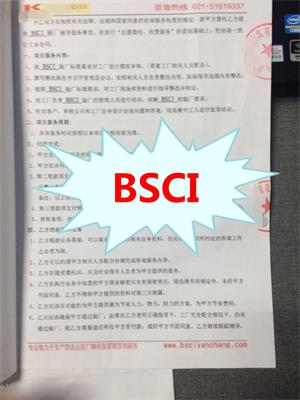 浙江XX玩具有限公司与康华合作BSCI验厂咨询