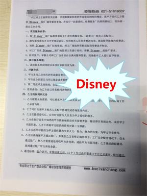 常州XX电子有限公司与康华合作Disney验厂咨询