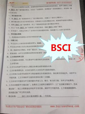 杭州XX塑胶制品有限公司与康华合作BSCI验厂咨询