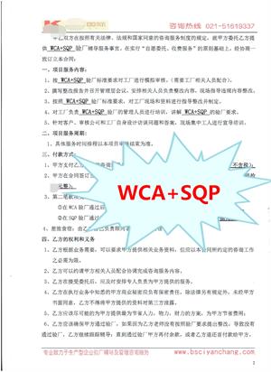 义乌市XX光学仪器有限公司与康华合作WCA、SQP验厂咨询